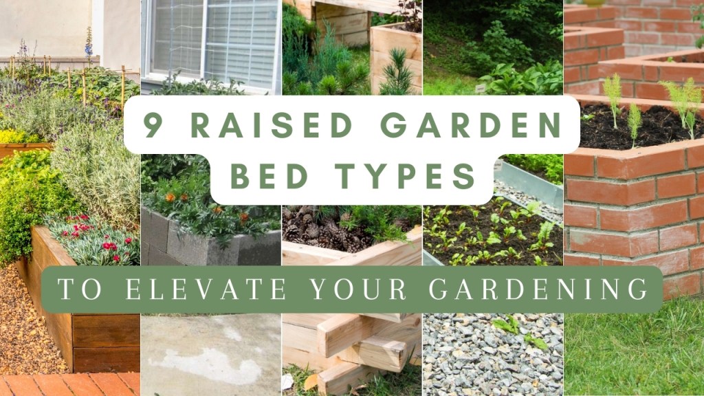 9 Raised Garden Beds Types to Elevate Your&nbsp;Gardening